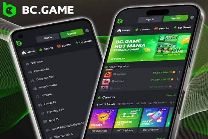 How to Successfully Navigate the BC.Game Registration Process
